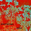 Primal Baroque Experiment cover