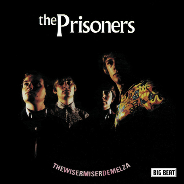 Thewisermiserdemelza: Complete Big Beat Sessions cover