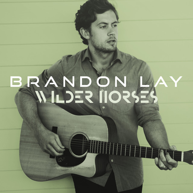 Wilder Horses cover