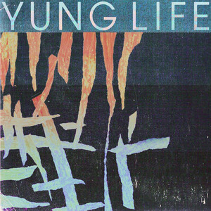 Advance cover