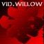 vid.willow Albumcover