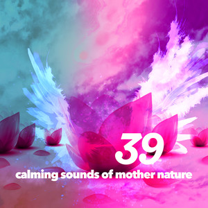 39 Calming Sounds of Mother Nature album
