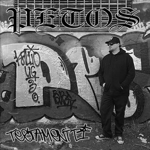 Testamentti cover