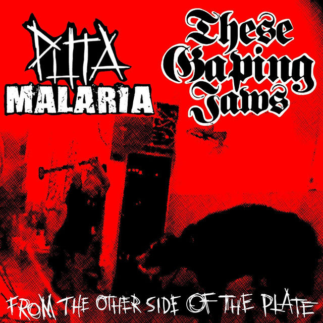 Puta Malaria Photo