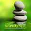 Serenity Spa: Healing Music for Relaxation,Meditation & Yoga Albumcover