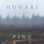 Hodari