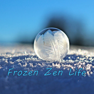 Frozen Zen Life album