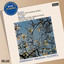 Franck: Violin Sonata / Brahms: Horn Trio cover