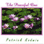 The Peaceful One Albumcover