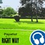Right Way Albumcover