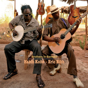 Brothers in Bamako cover