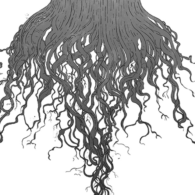 Crow Hill cover
