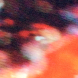 Ruby Haunt photo