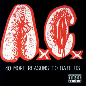 40 More Reasons to Hate Us album