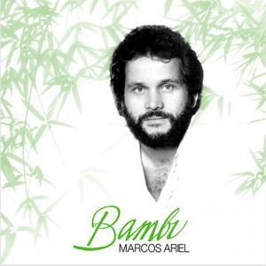 Bambu cover