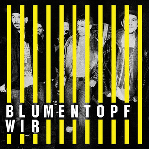 Wir album