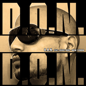 D.o.n. feat. Riggy Roc