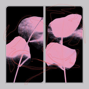 2 cover