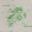 Four Shades Of Green Albumcover
