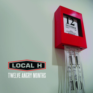 Twelve Angry Months cover