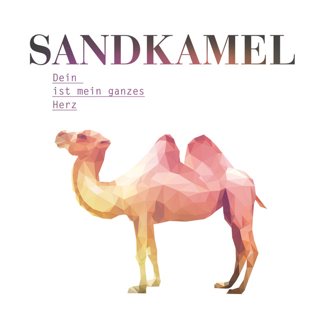 Sandkamel Photo