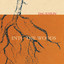 Into The Woods Albumcover