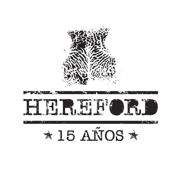 15 Años cover