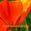 Just Wondering Albumcover