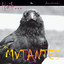 Haih or amortecedor cover