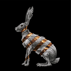 Jackrabbit cover