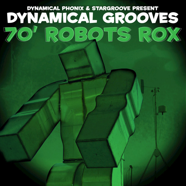 Dynamical Grooves Photo