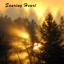 Soaring Heart. Soothing Nature Sounds Wood Flute Songs Albumcover