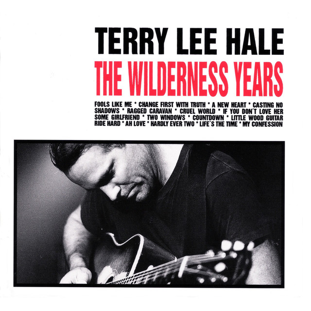 The Wilderness Years cover
