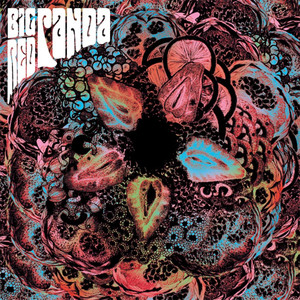 Big Red Panda cover