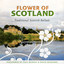 Flower of Scotland Albumcover