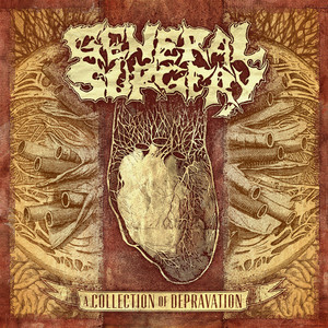 A Collection of Depravation cover