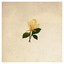 The Grand Magnolias cover