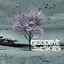 Goodbye Blue Skies