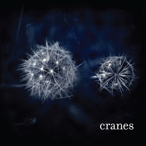 Cranes cover