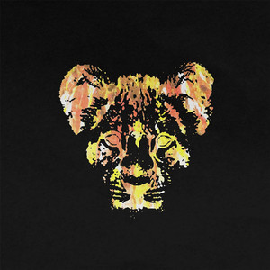 Young Lions Photo