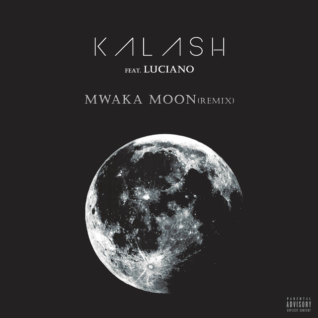 Mwaka Moon (remix) cover