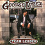Team Leader cover