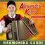 Harmonika-Gaudi Albumcover