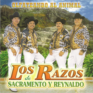 Olfateando el Animal cover