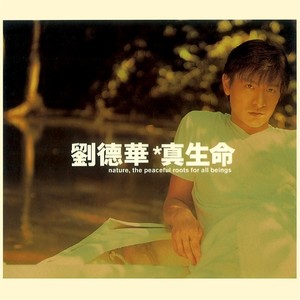 真生命 Albumcover
