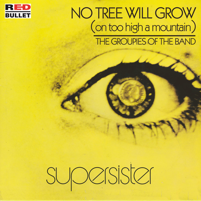 No Tree Will Grow (on Too High A Mountain) cover