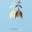 Rhizomes Albumcover