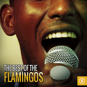 The Best of the Flamingos album