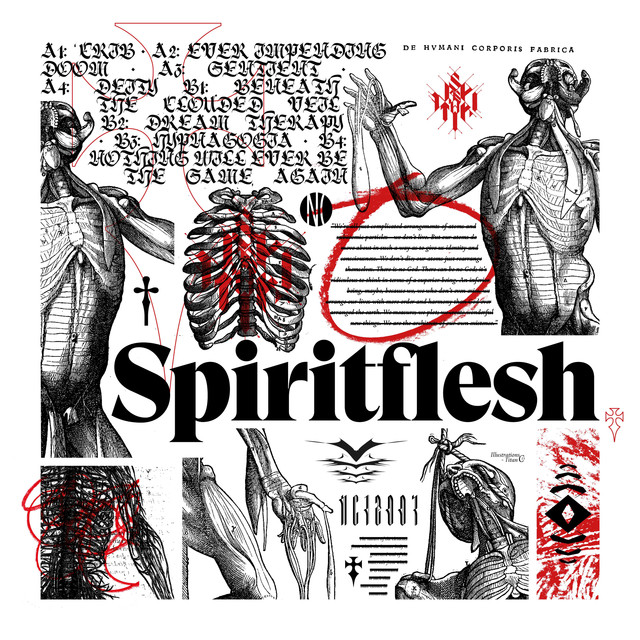 Spiritflesh Photo