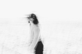 Rose Dive Photo